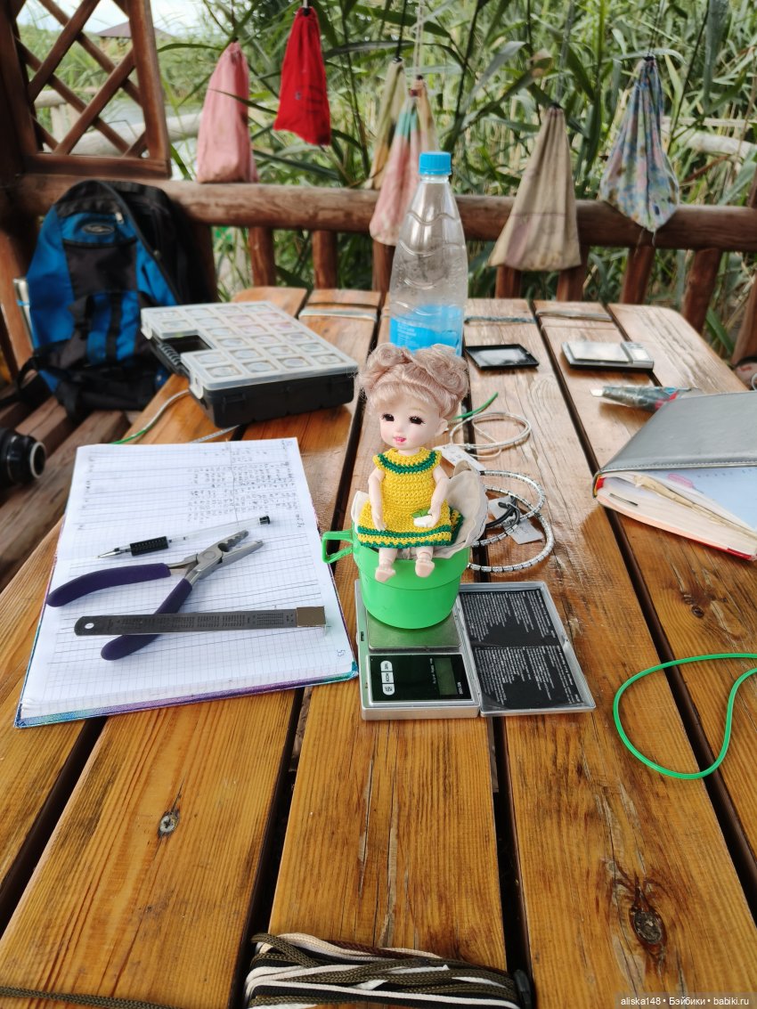 Как я провел лето. Споровский заказник (фото 5)