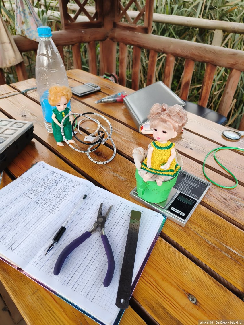 Как я провел лето. Споровский заказник (фото 6)