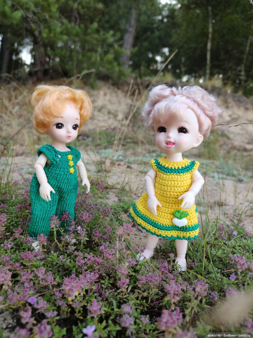 Как я провел лето. Споровский заказник