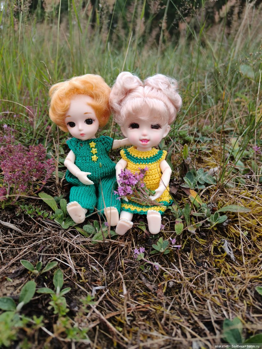 Как я провел лето. Споровский заказник