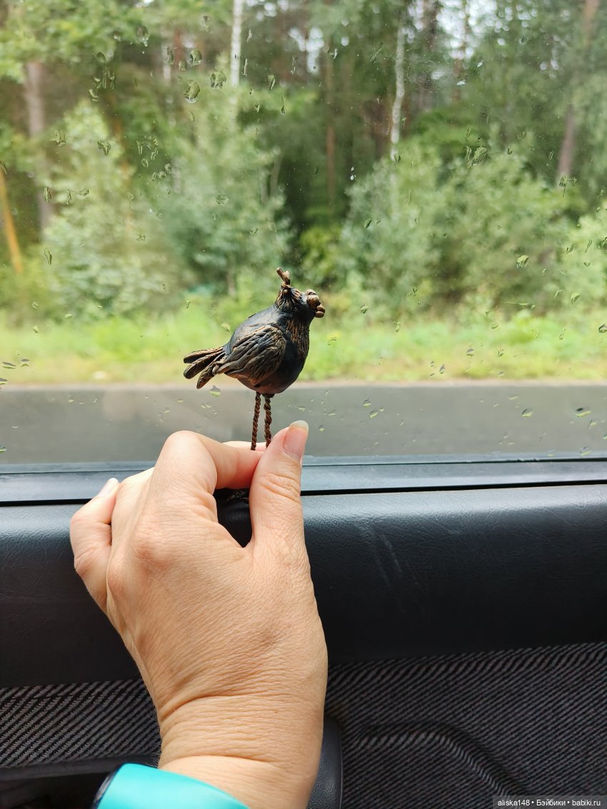 Как я провел лето. Споровский заказник