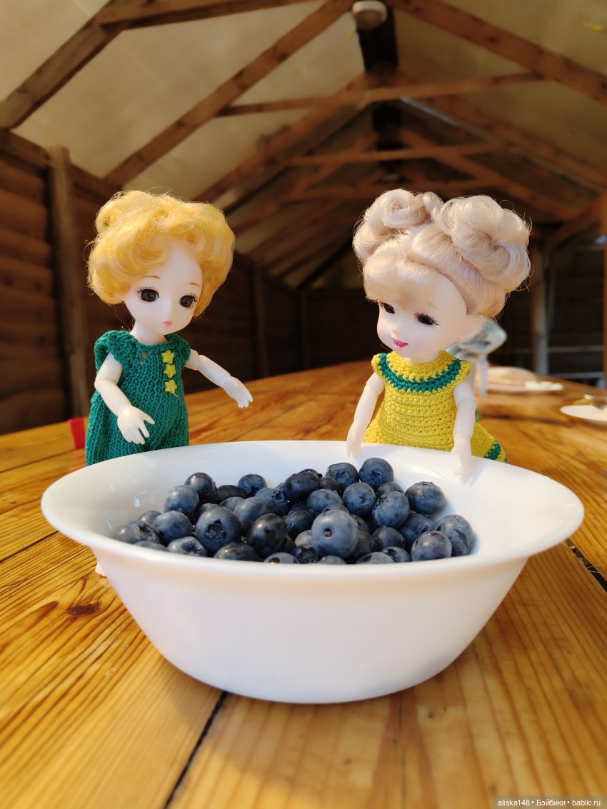 Как я провел лето. Споровский заказник