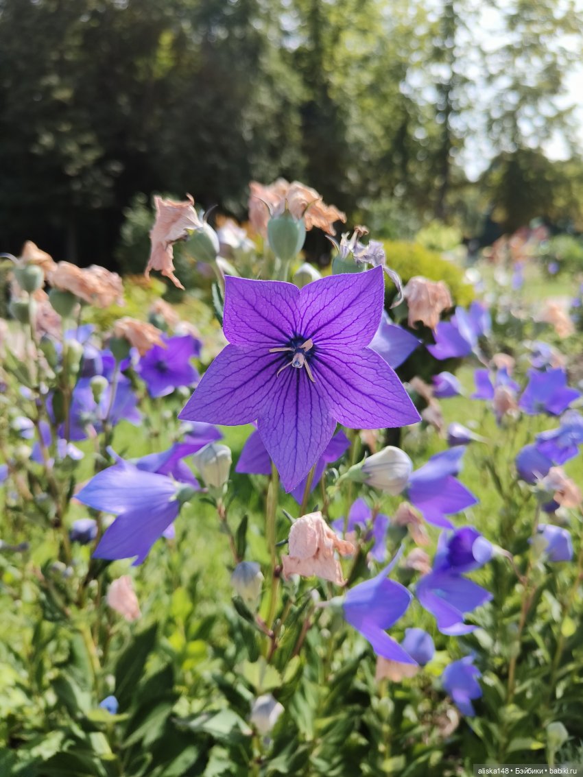 Как я провел лето. Споровский заказник
