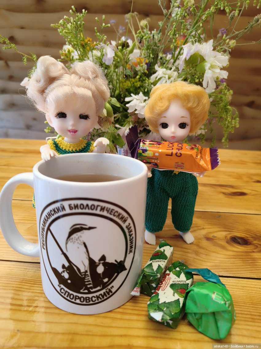 Как я провел лето. Споровский заказник