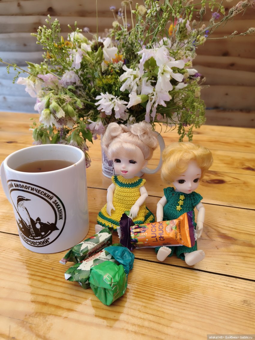 Как я провел лето. Споровский заказник