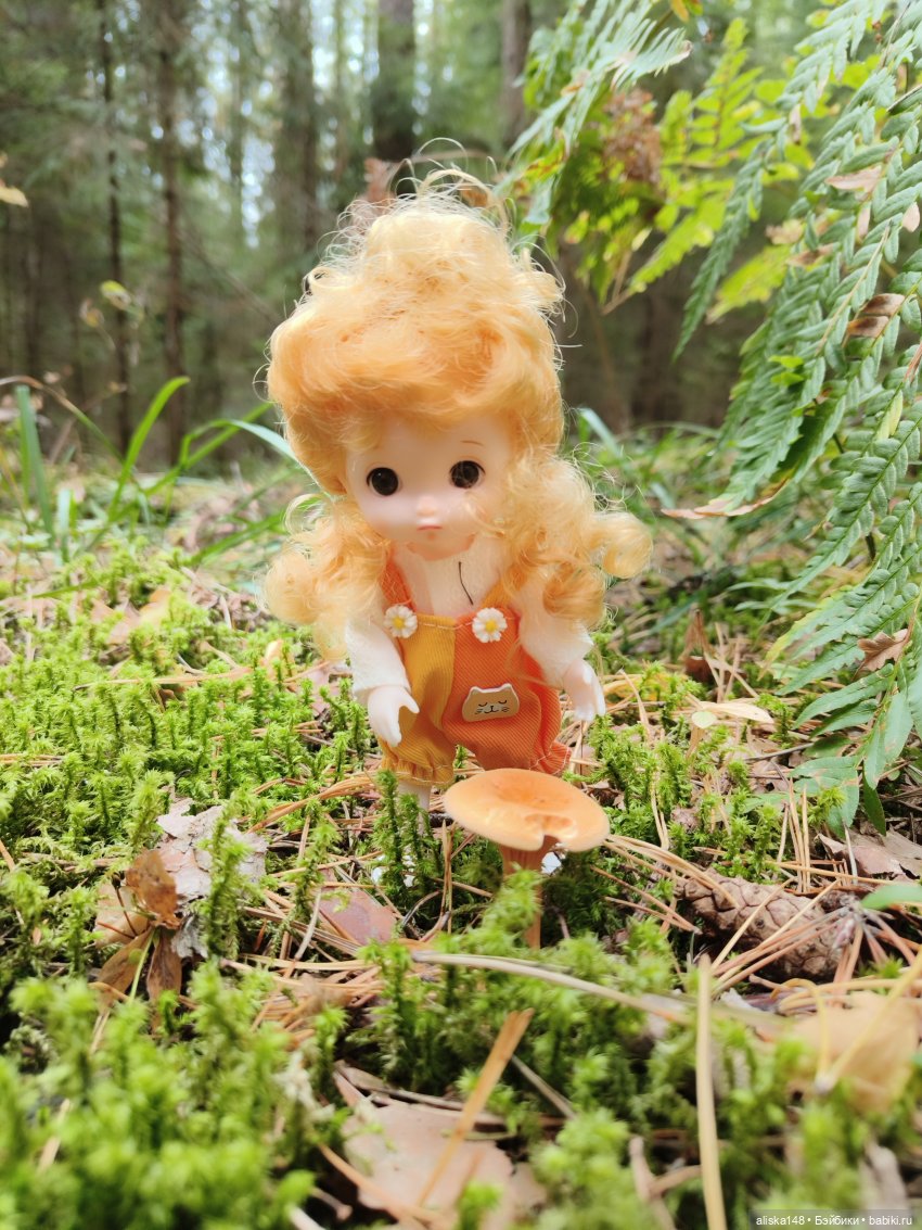 Все в лес! За грибами — Куклы Baboliy (Баболи (фото 5)