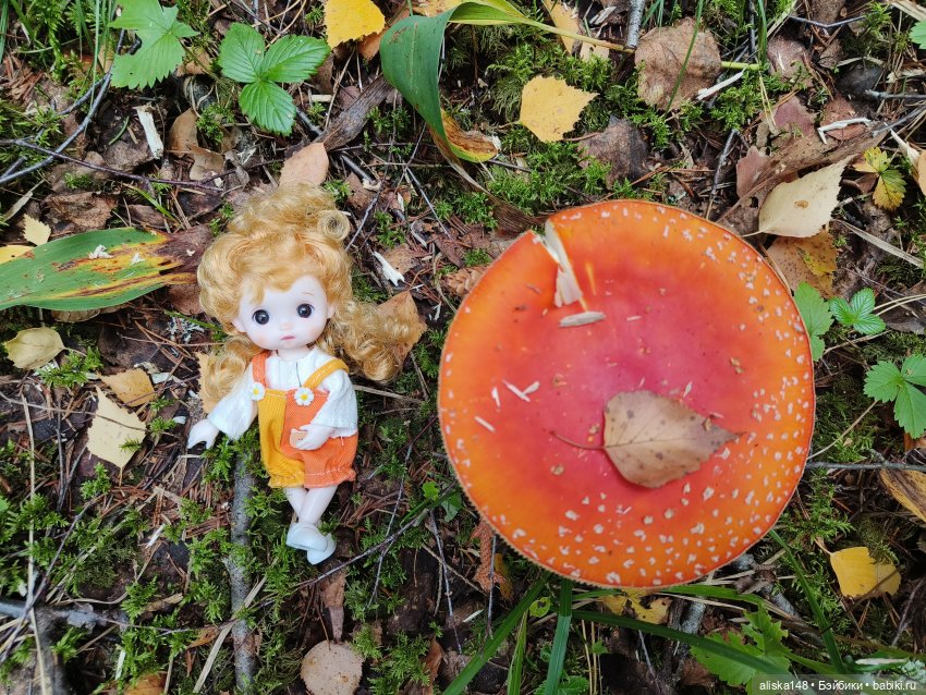Все в лес! За грибами — Куклы Baboliy (Баболи