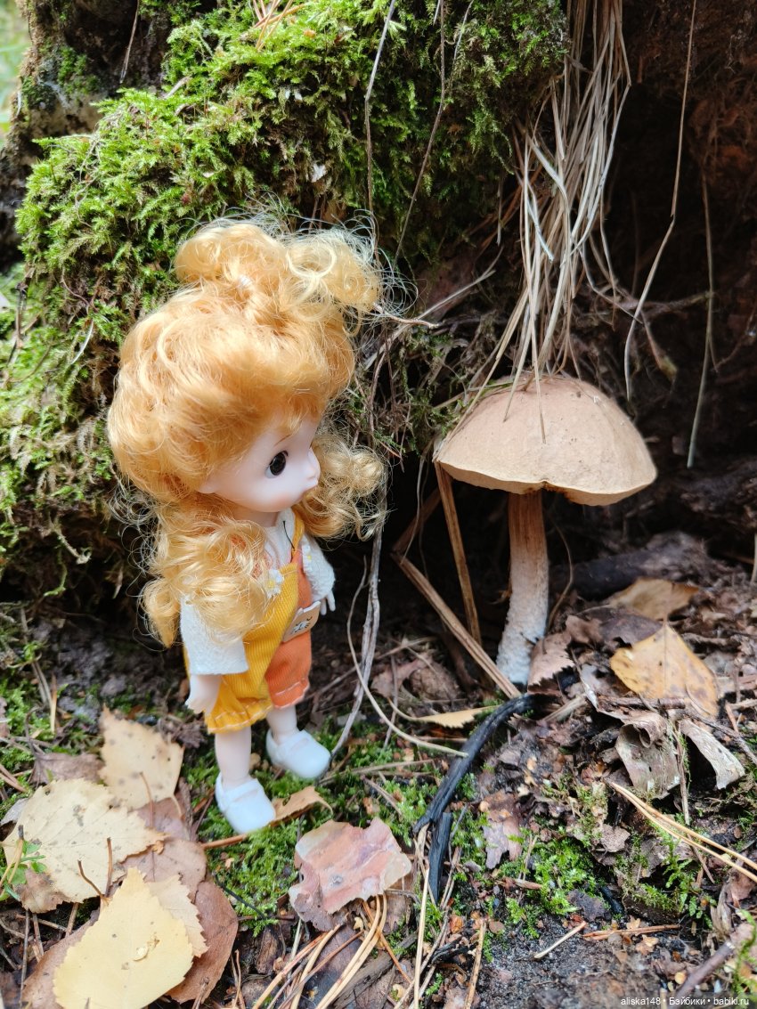 Все в лес! За грибами — Куклы Baboliy (Баболи (фото 6)