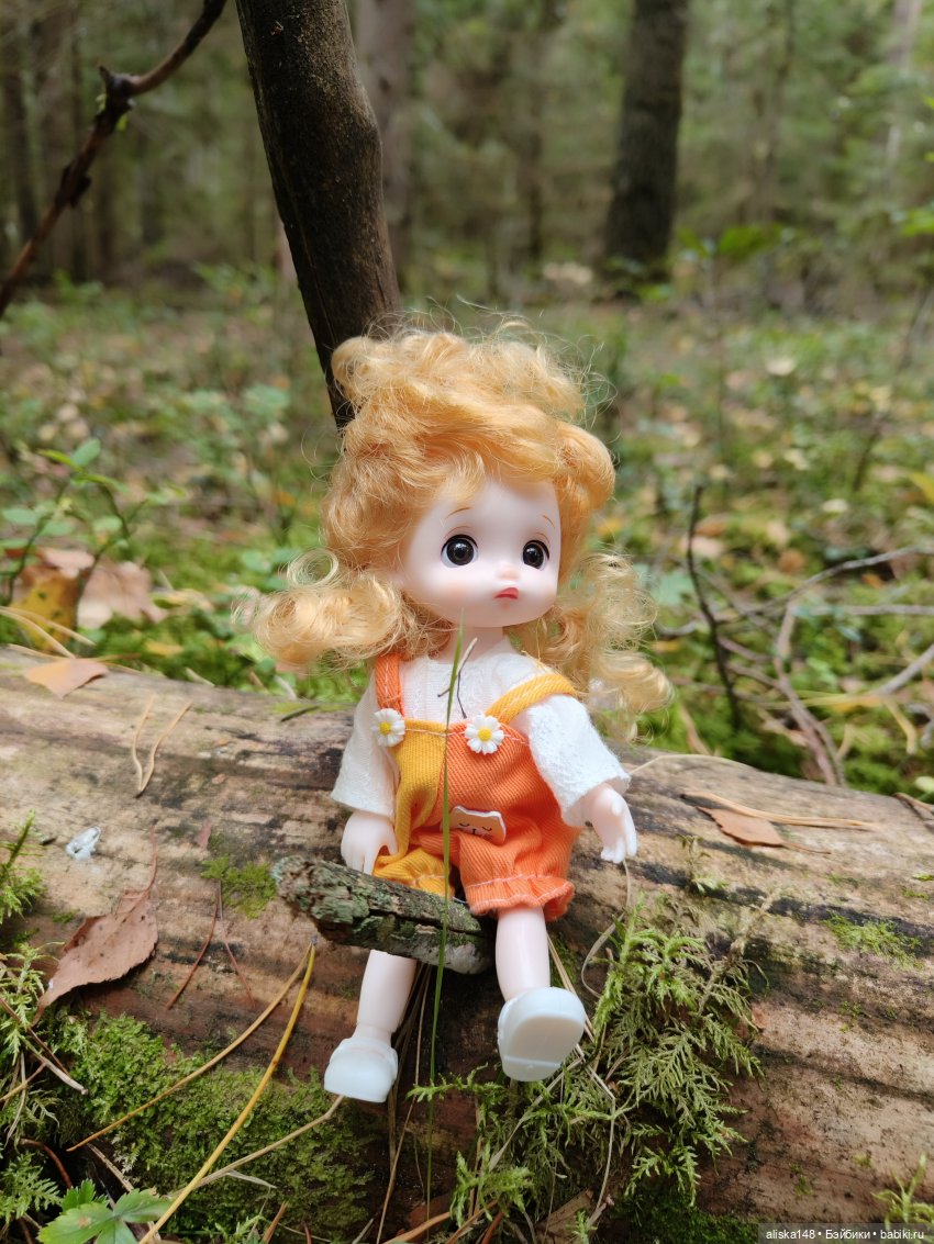 Все в лес! За грибами — Куклы Baboliy (Баболи (фото 2)
