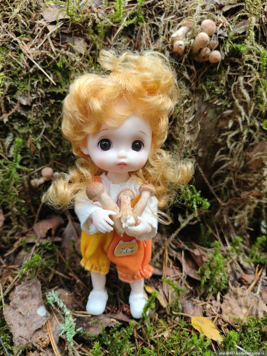 Все в лес! За грибами — Куклы Baboliy (Баболи