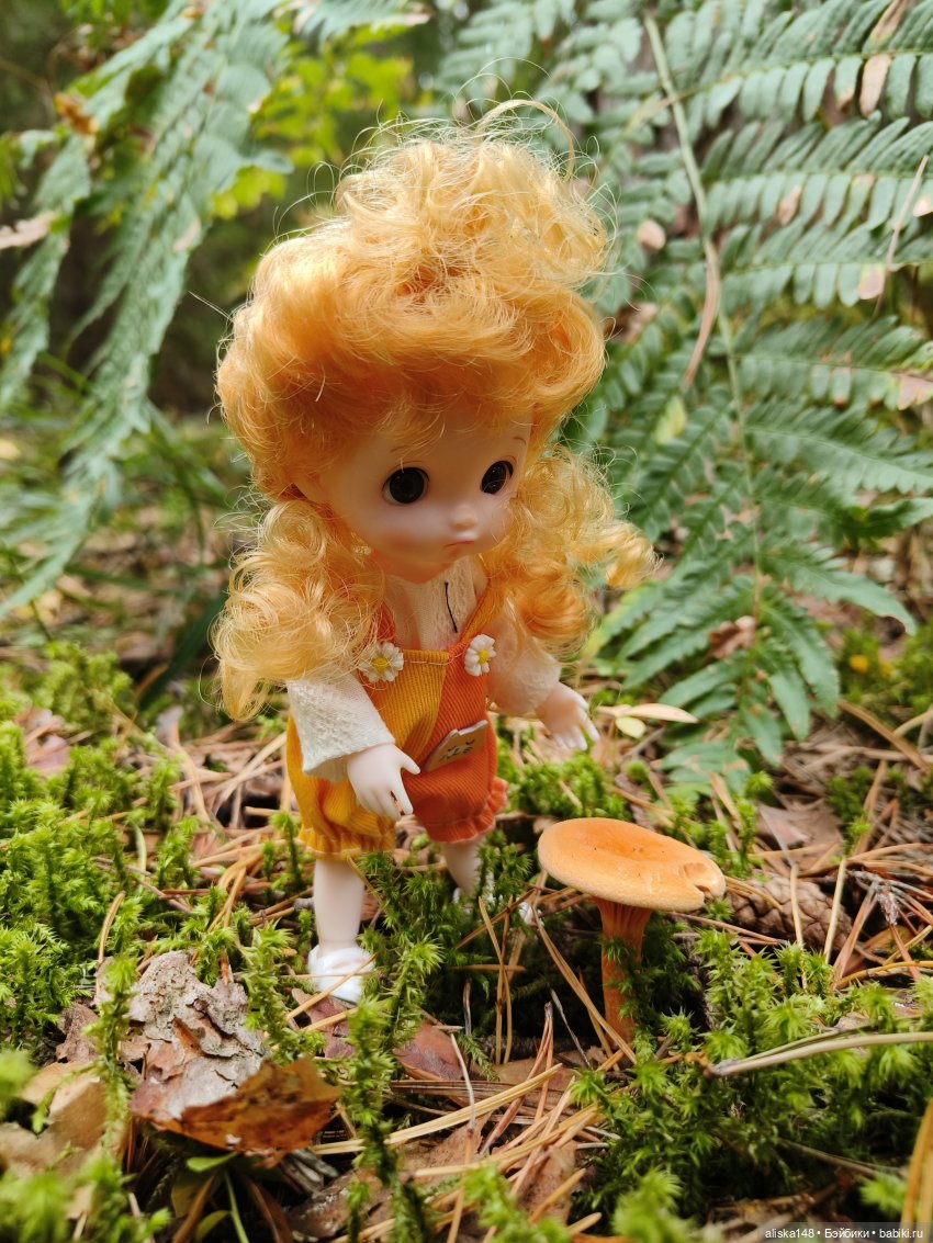 Все в лес! За грибами — Куклы Baboliy (Баболи (фото 4)