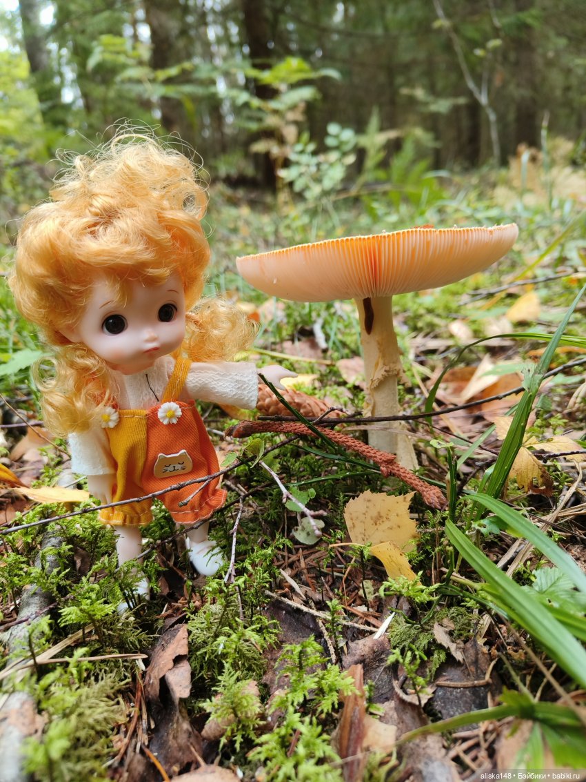 Все в лес! За грибами — Куклы Baboliy (Баболи (фото 10)