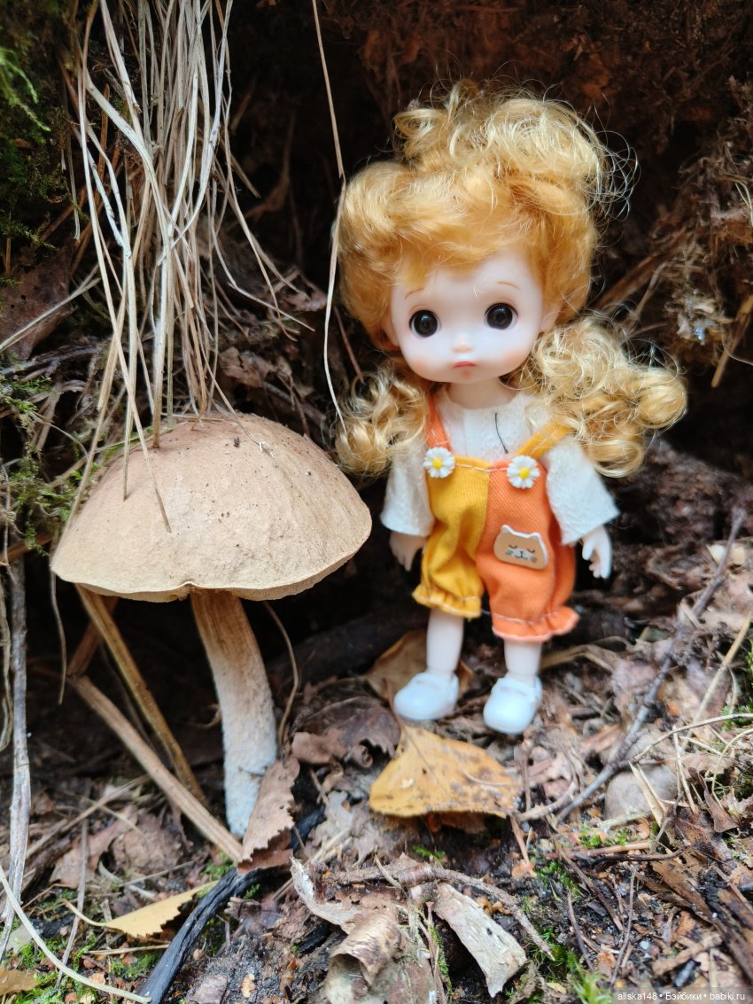 Все в лес! За грибами — Куклы Baboliy (Баболи (фото 7)