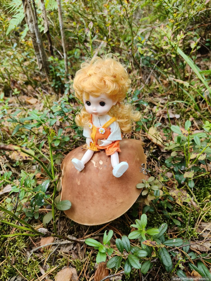 Все в лес! За грибами — Куклы Baboliy (Баболи