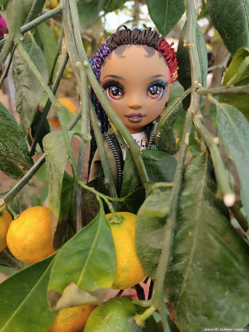 Из зимы в лето. Страна лимония (фото 9)