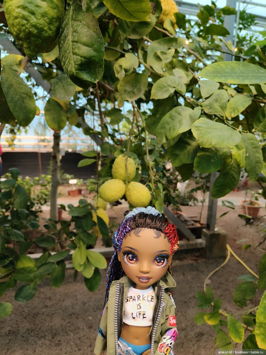 Из зимы в лето. Страна лимония (фото 4)