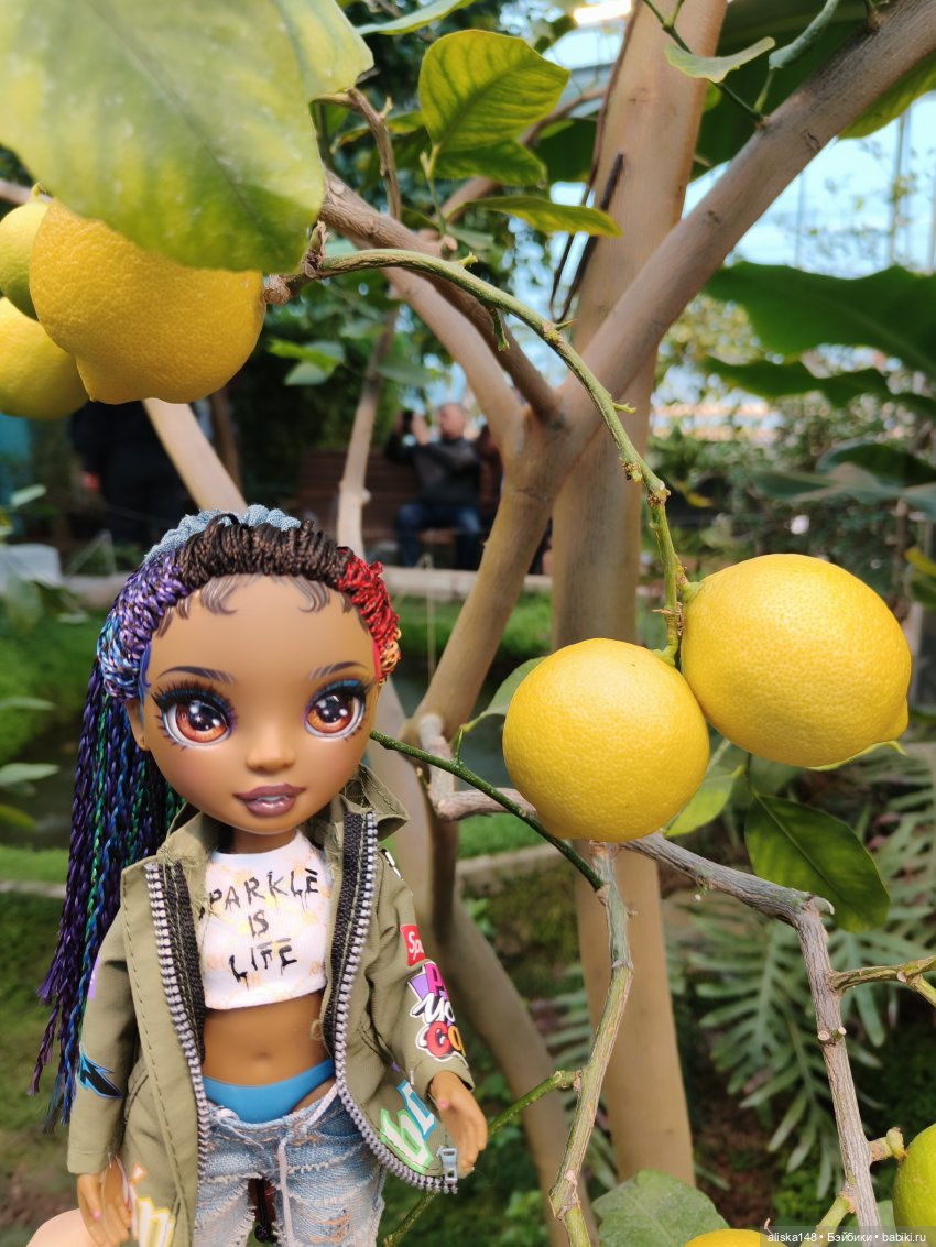 Из зимы в лето. Страна лимония (фото 6)