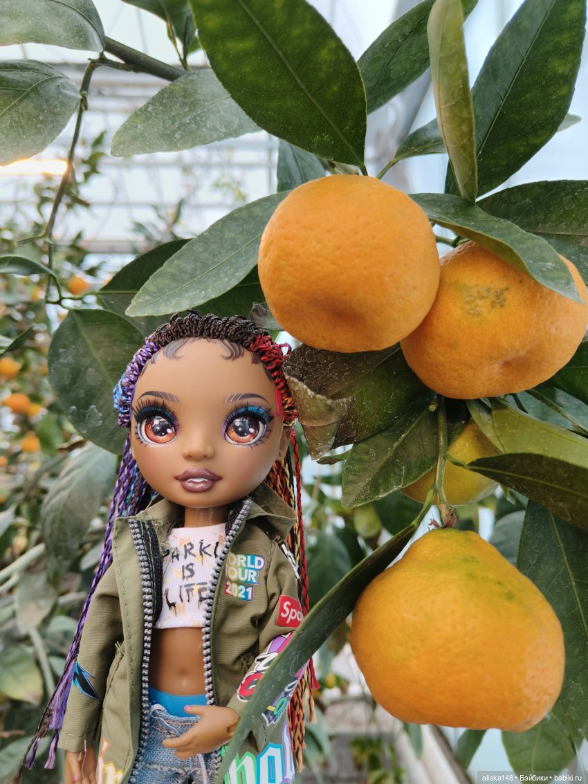 Из зимы в лето. Страна лимония (фото 7)