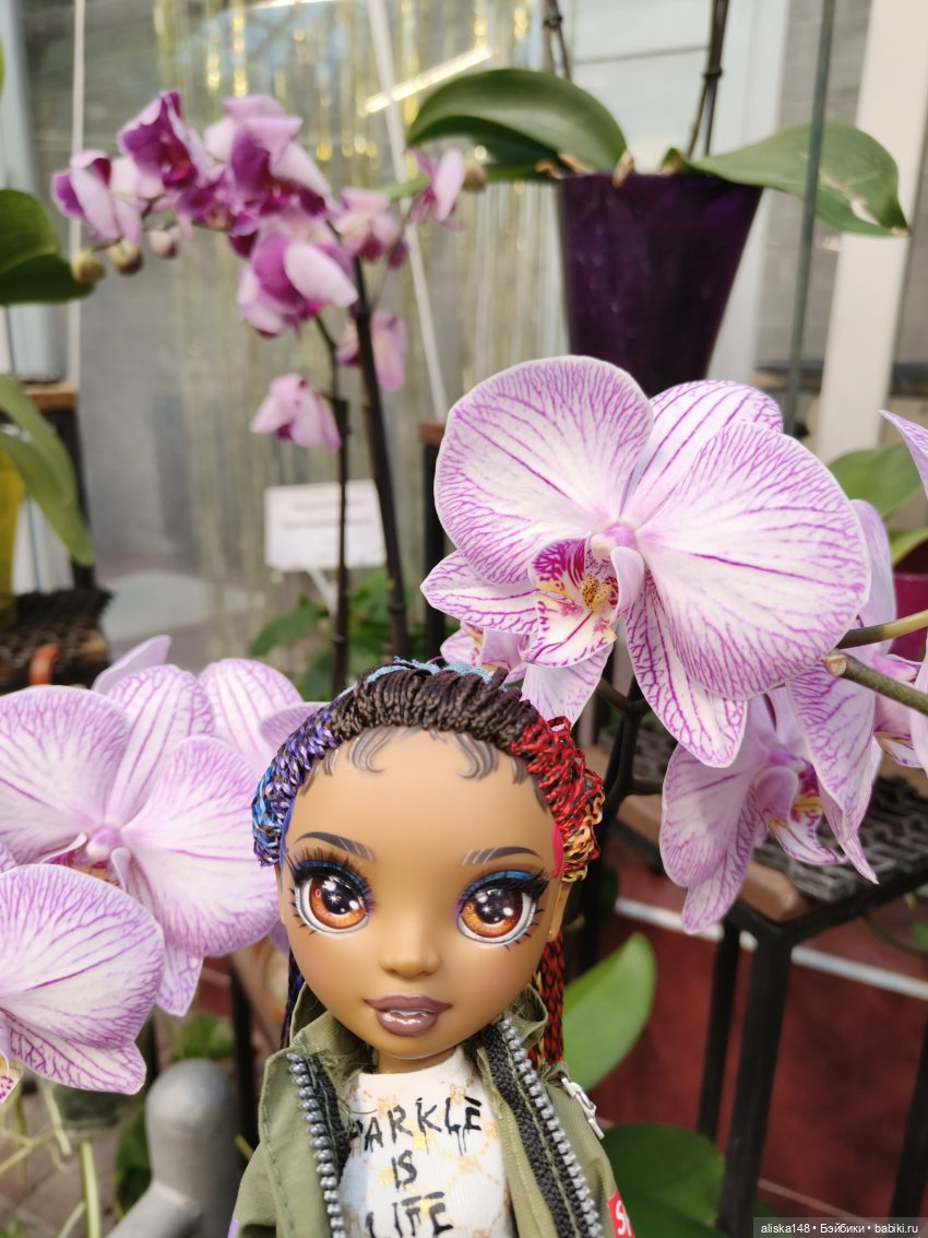 Из зимы в лето. Тропики | Бэйбики Из зимы в лето. Тропики — Куклы Rainbow High (Рейнбоу Хай