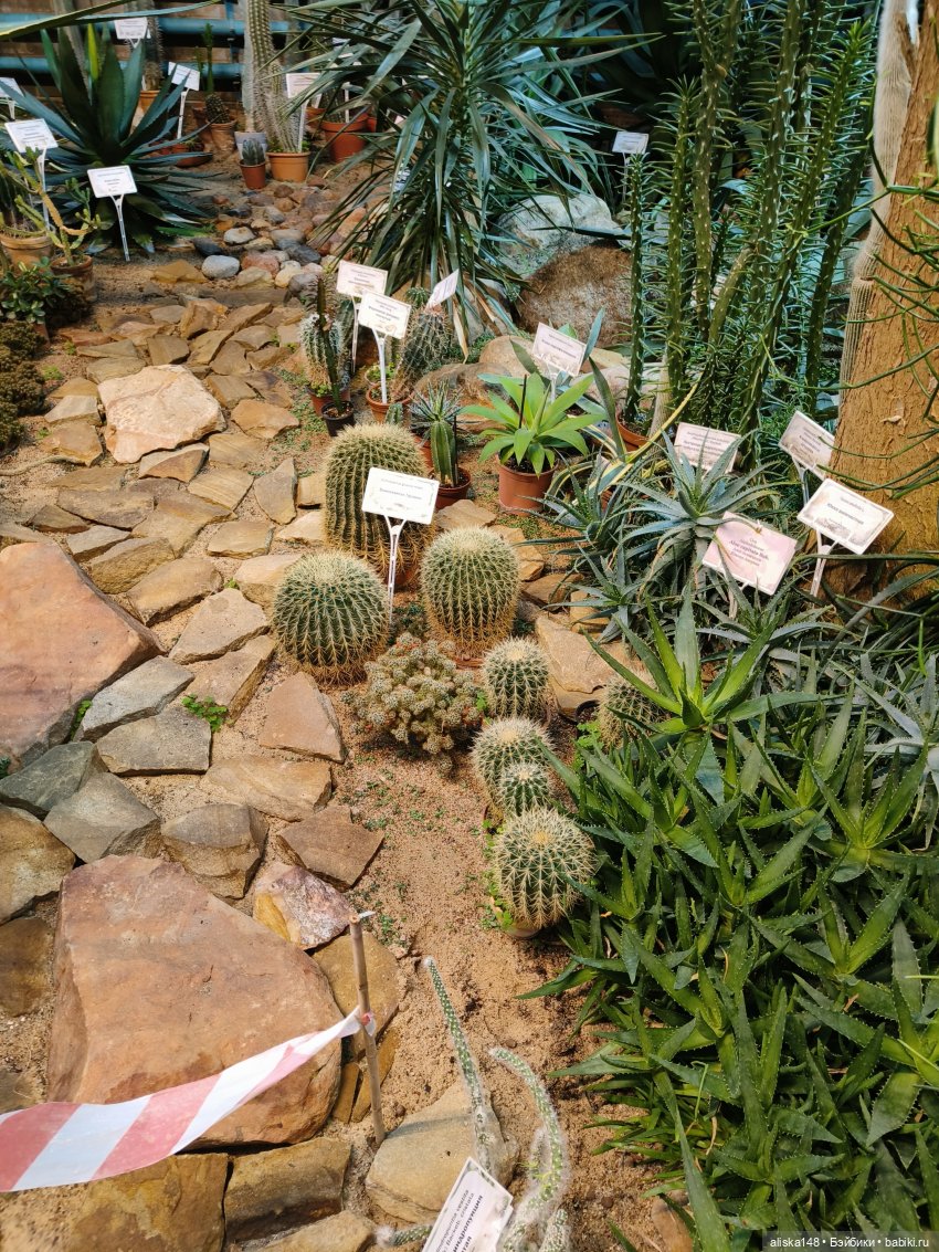 Из зимы в лето. Тропики | Бэйбики Из зимы в лето. Тропики — Куклы Rainbow High (Рейнбоу Хай