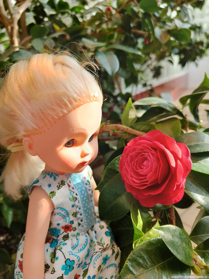 Вероника идёт в детский сад