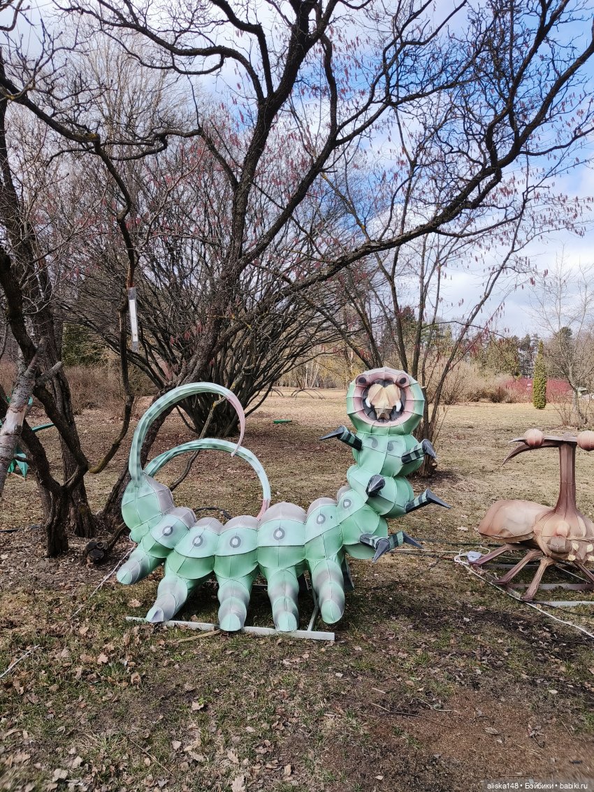 Марта в ботаническом саду | Бэйбики Марта в ботаническом саду