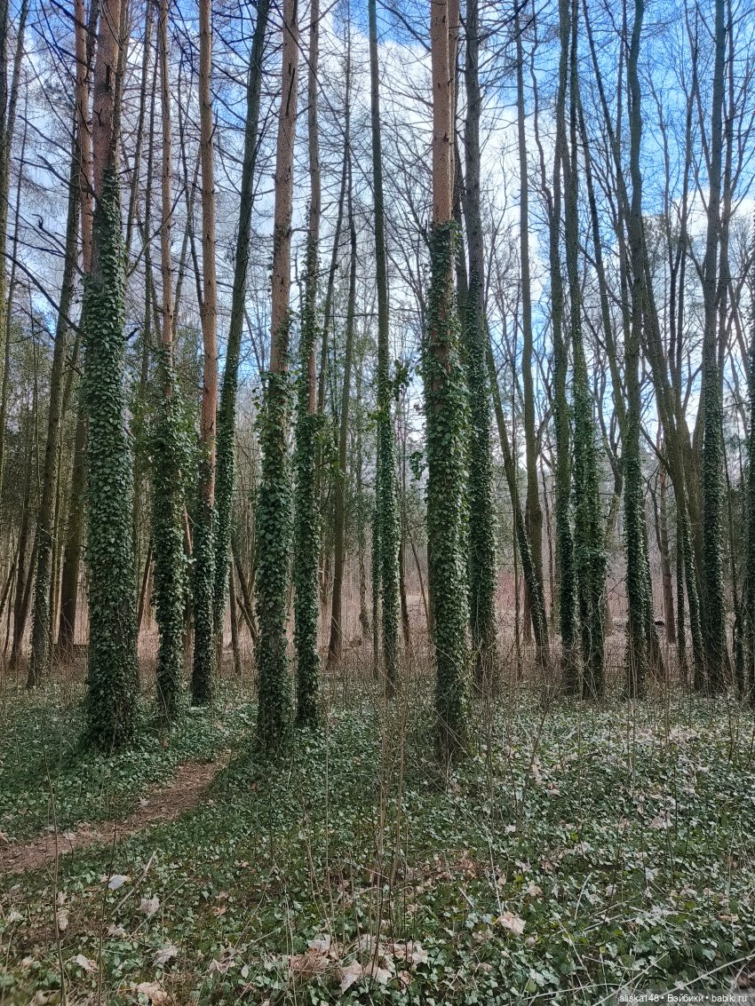 Марта в ботаническом саду | Бэйбики Марта в ботаническом саду (фото 5)