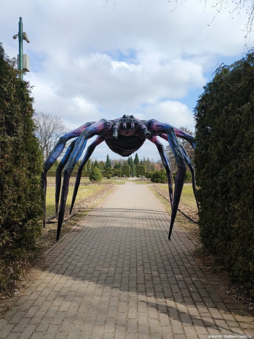 Марта в ботаническом саду | Бэйбики Марта в ботаническом саду (фото 10)