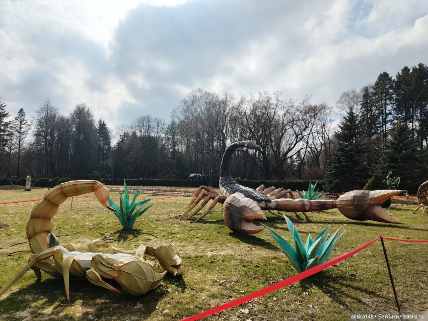 Марта в ботаническом саду | Бэйбики Марта в ботаническом саду