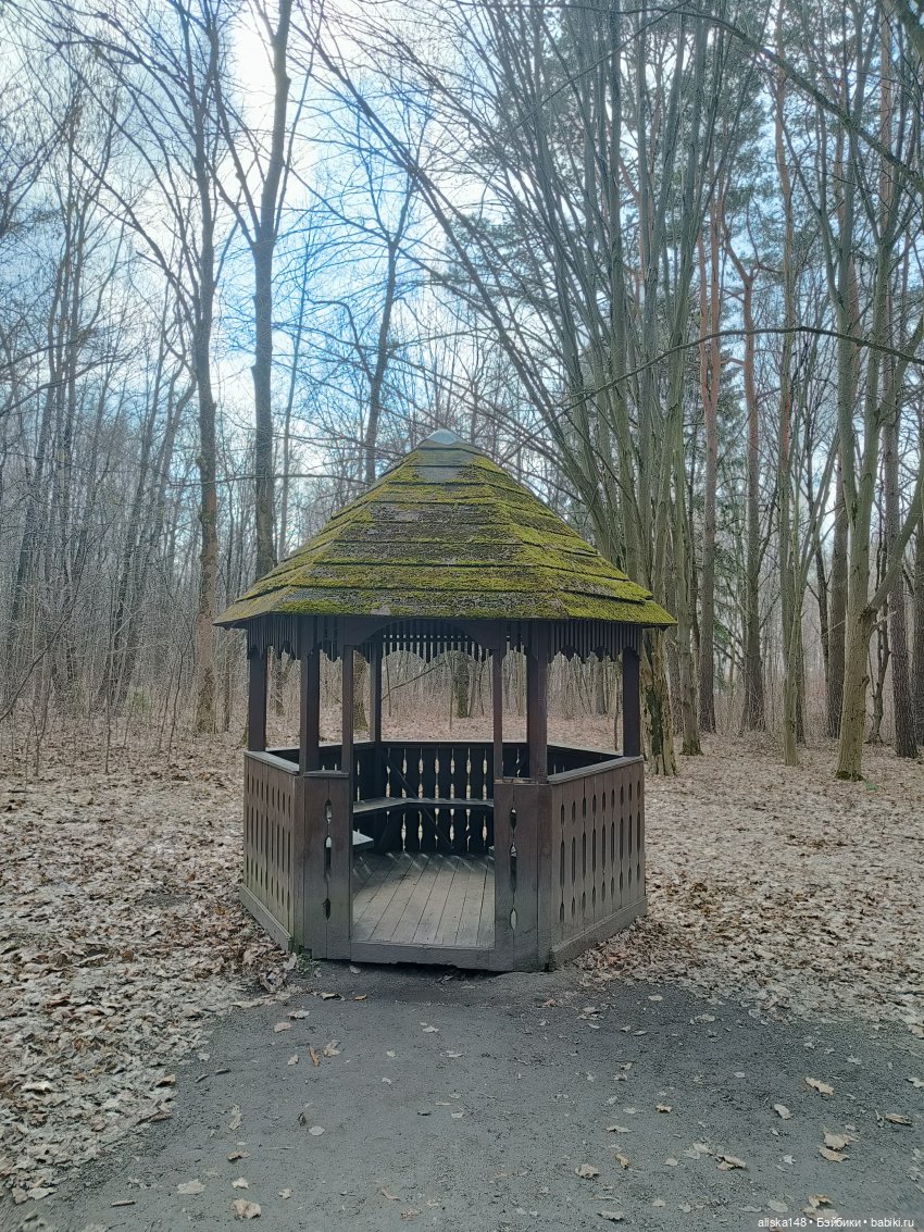 Марта в ботаническом саду | Бэйбики Марта в ботаническом саду (фото 7)