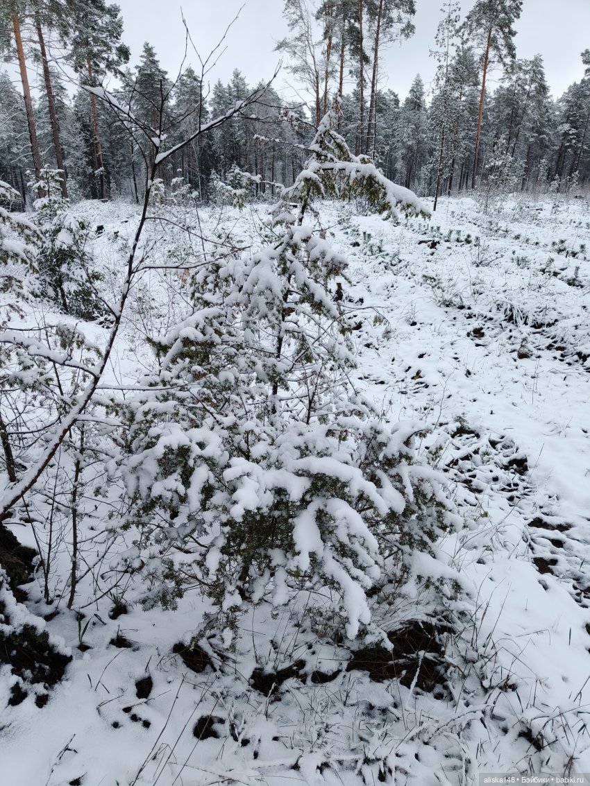 Дюймовочка в ботаническом саду (фото 9)