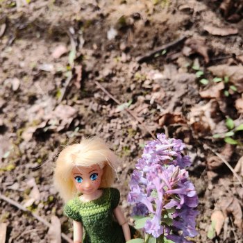 Дюймовочка в ботаническом саду