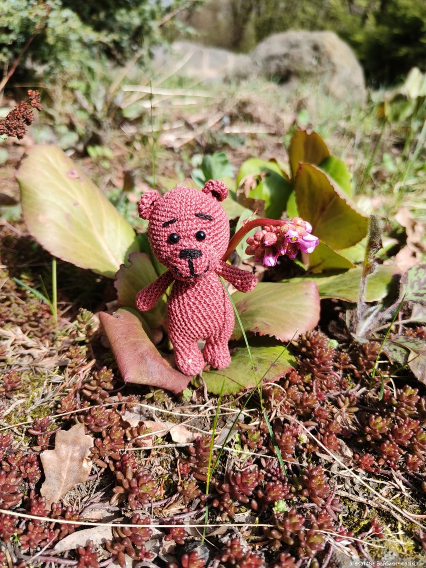 Ванесса и её новый друг — Куклы Rainbow High (Рейнбоу Хай