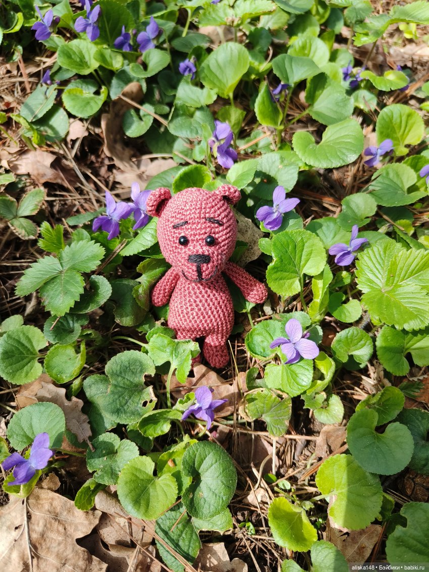 Ванесса и её новый друг — Куклы Rainbow High (Рейнбоу Хай (фото 7)