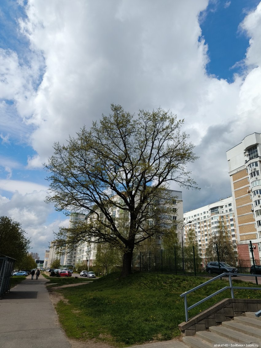 Куклы с Алиэкспресс (Aliexpress): Китайские шарнирные (фото 10)