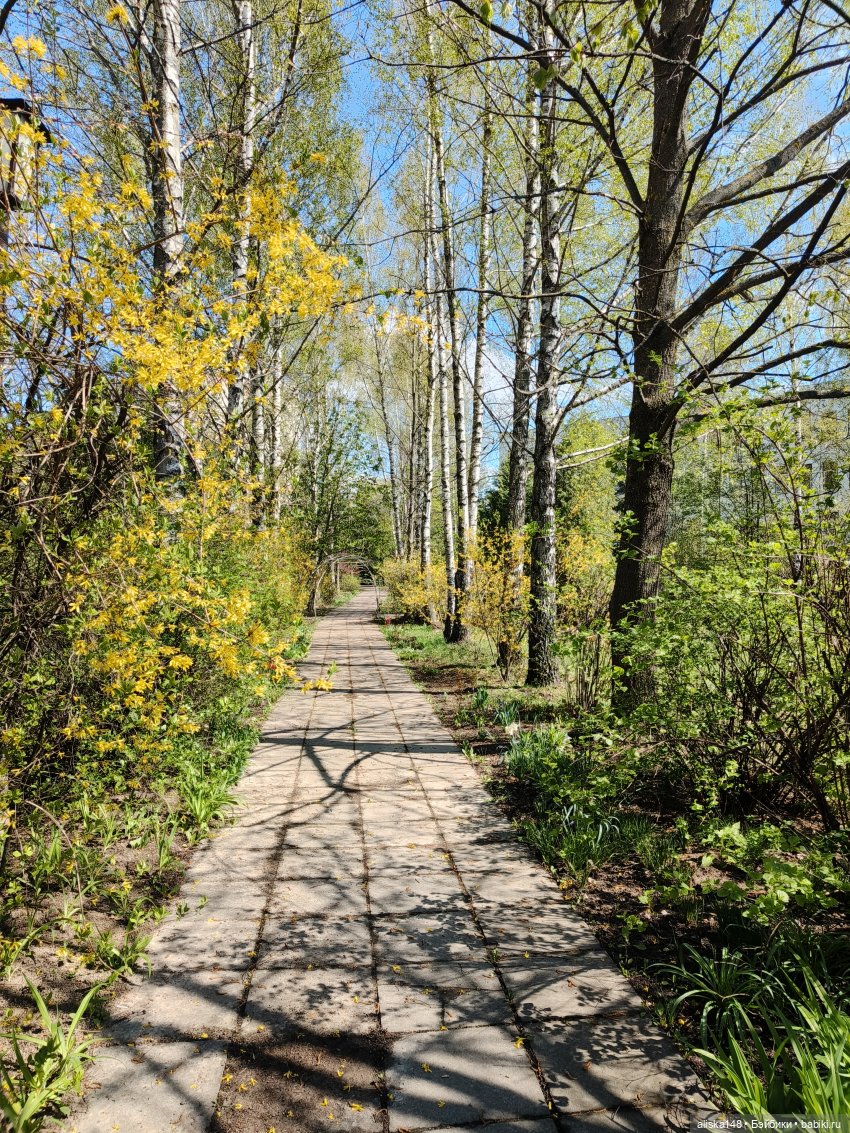 Куклы с Алиэкспресс (Aliexpress): Китайские шарнирные (фото 6)