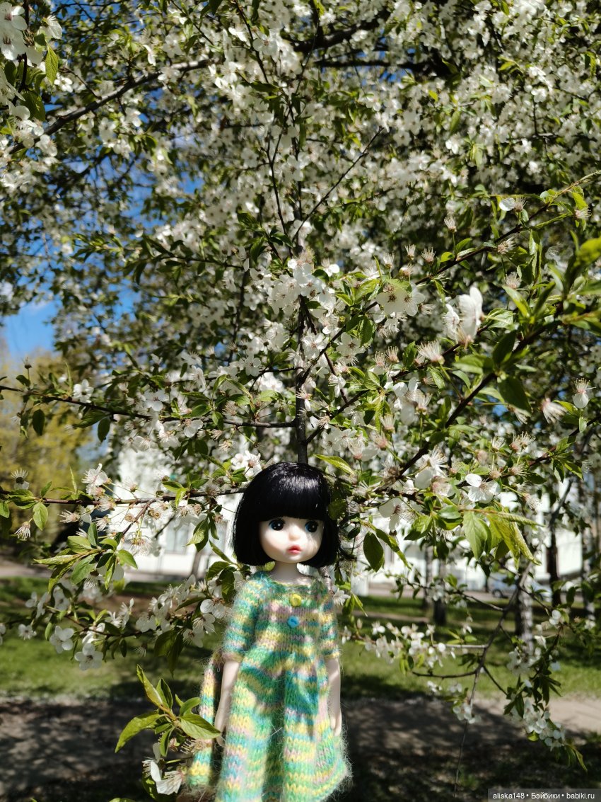 Куклы с Алиэкспресс (Aliexpress): Китайские шарнирные (фото 5)