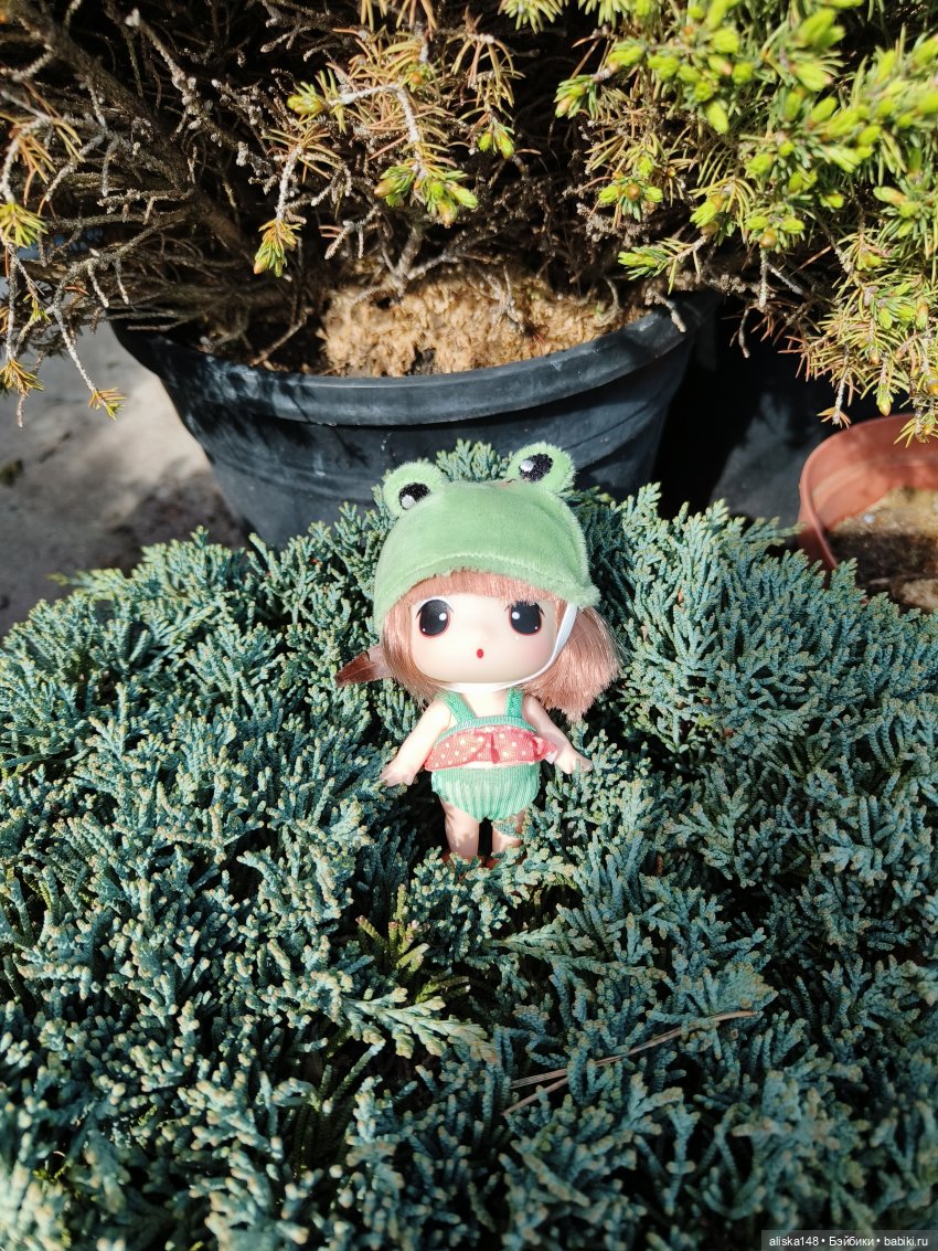 Мадемуазель Жабка — Куклы Ddung (Дданг): Корейские пупсы (фото 2)