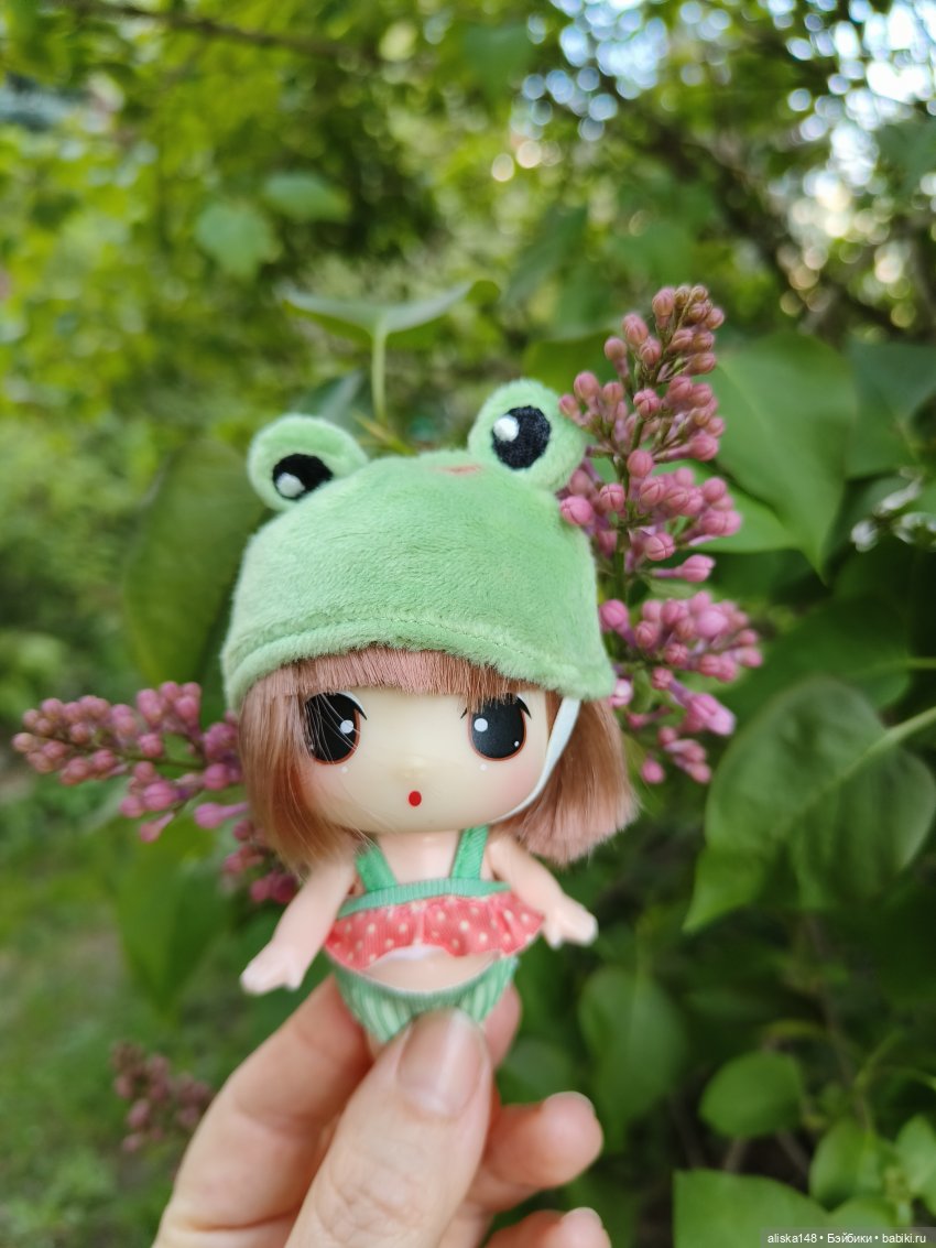 Мадемуазель Жабка — Куклы Ddung (Дданг): Корейские пупсы (фото 10)