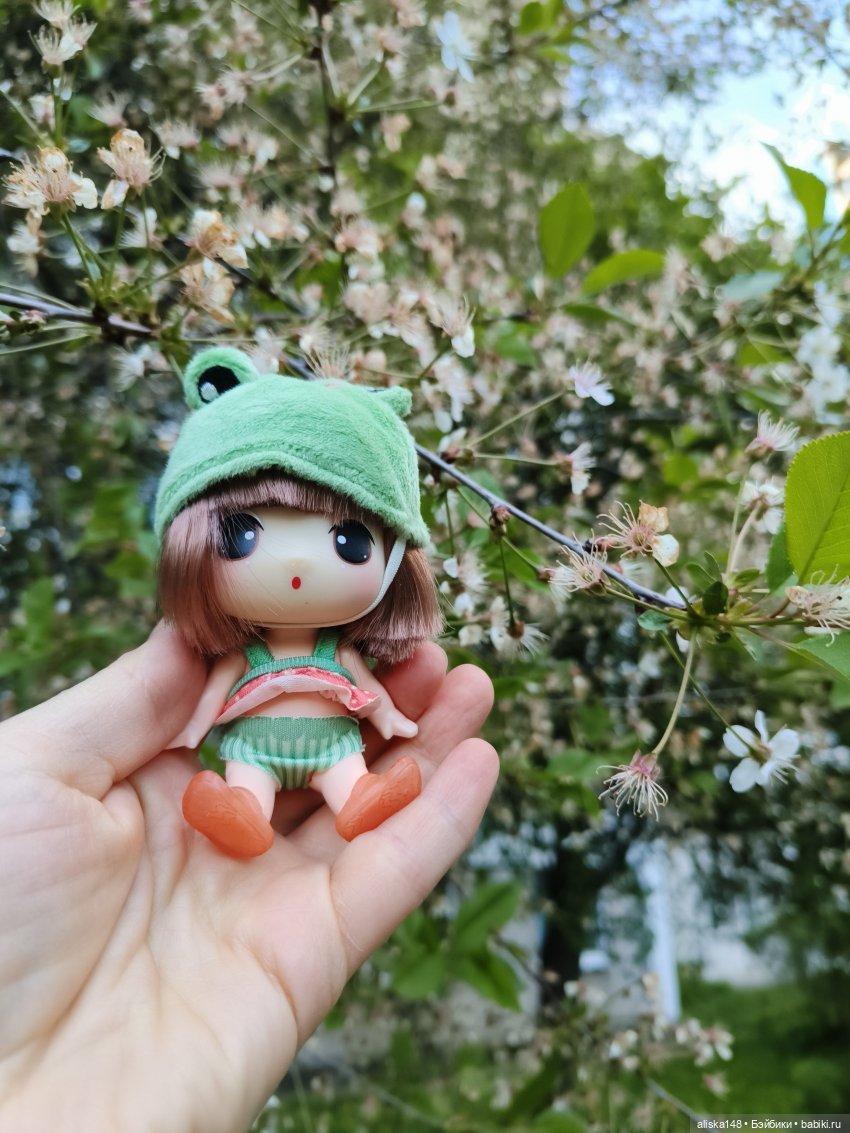 Мадемуазель Жабка — Куклы Ddung (Дданг): Корейские пупсы