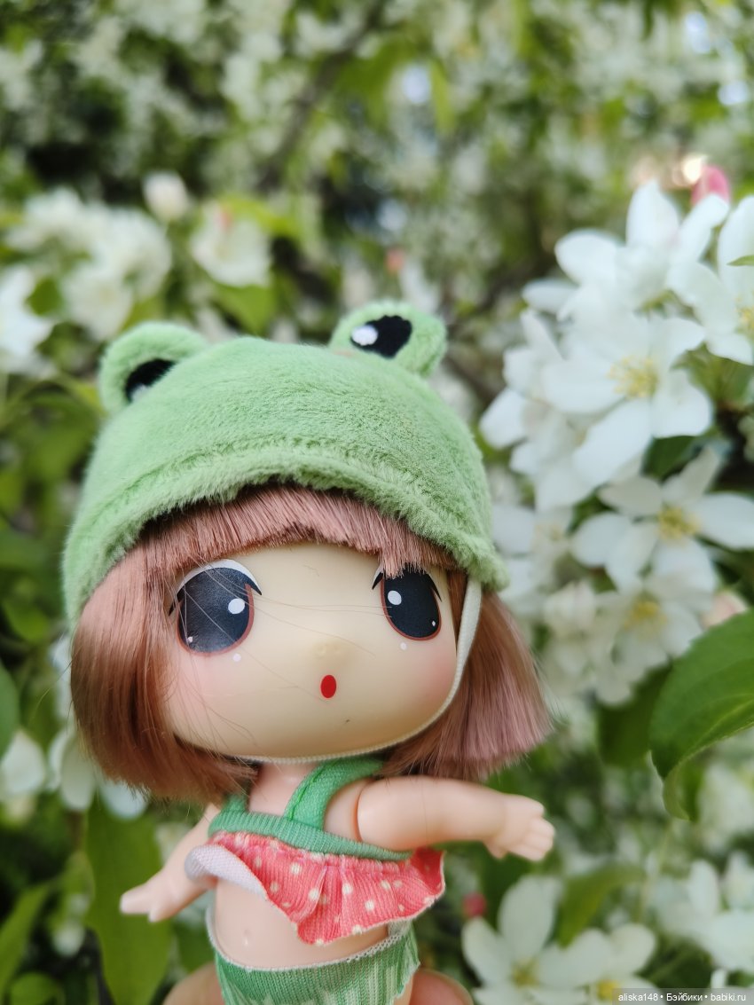 Мадемуазель Жабка — Куклы Ddung (Дданг): Корейские пупсы