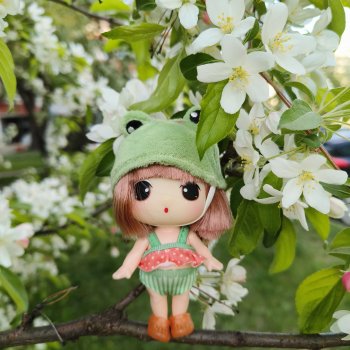 Мадемуазель Жабка