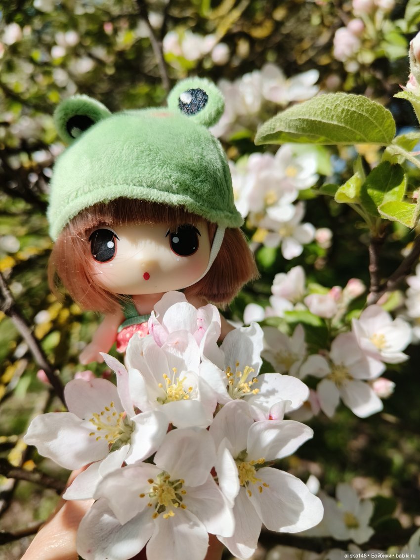 Жабка в Лошицком парке | Бэйбики Жабка в Лошицком парке — Куклы Ddung (Дданг): Корейские пупсы (фото 7)