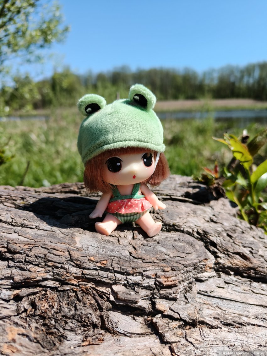 Жабка в Лошицком парке | Бэйбики Жабка в Лошицком парке — Куклы Ddung (Дданг): Корейские пупсы