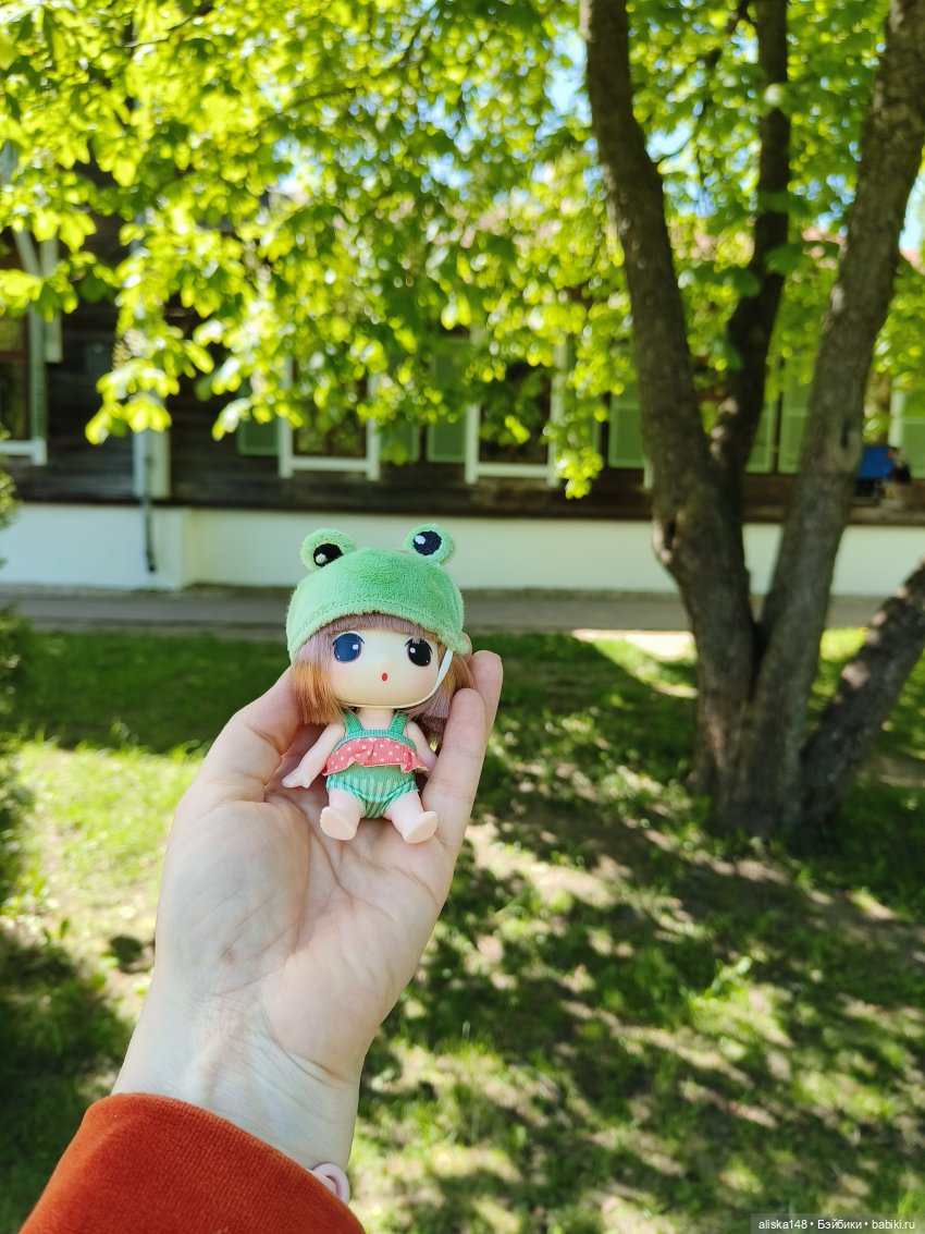 Жабка в Лошицком парке | Бэйбики Жабка в Лошицком парке — Куклы Ddung (Дданг): Корейские пупсы