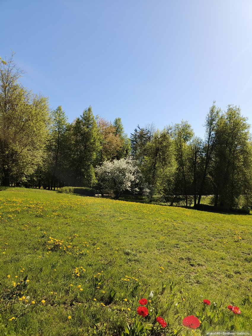 Жабка в Лошицком парке | Бэйбики Жабка в Лошицком парке — Куклы Ddung (Дданг): Корейские пупсы (фото 5)