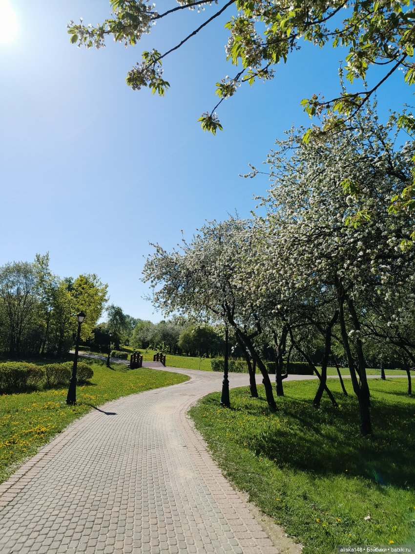 Жабка в Лошицком парке | Бэйбики Жабка в Лошицком парке — Куклы Ddung (Дданг): Корейские пупсы (фото 8)