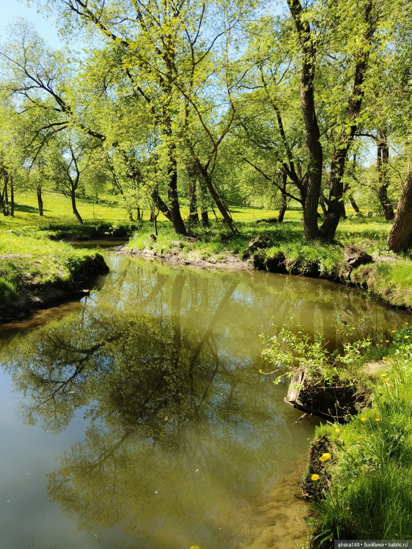 Жабка в Лошицком парке | Бэйбики Жабка в Лошицком парке — Куклы Ddung (Дданг): Корейские пупсы