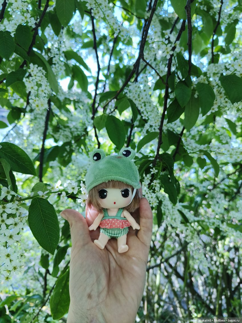 Жабка в Лошицком парке | Бэйбики Жабка в Лошицком парке — Куклы Ddung (Дданг): Корейские пупсы
