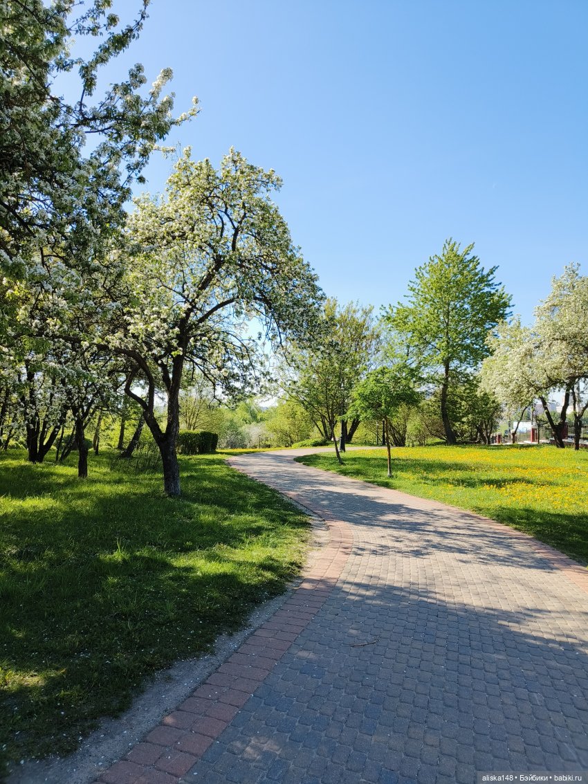 Жабка в Лошицком парке | Бэйбики Жабка в Лошицком парке — Куклы Ddung (Дданг): Корейские пупсы (фото 2)